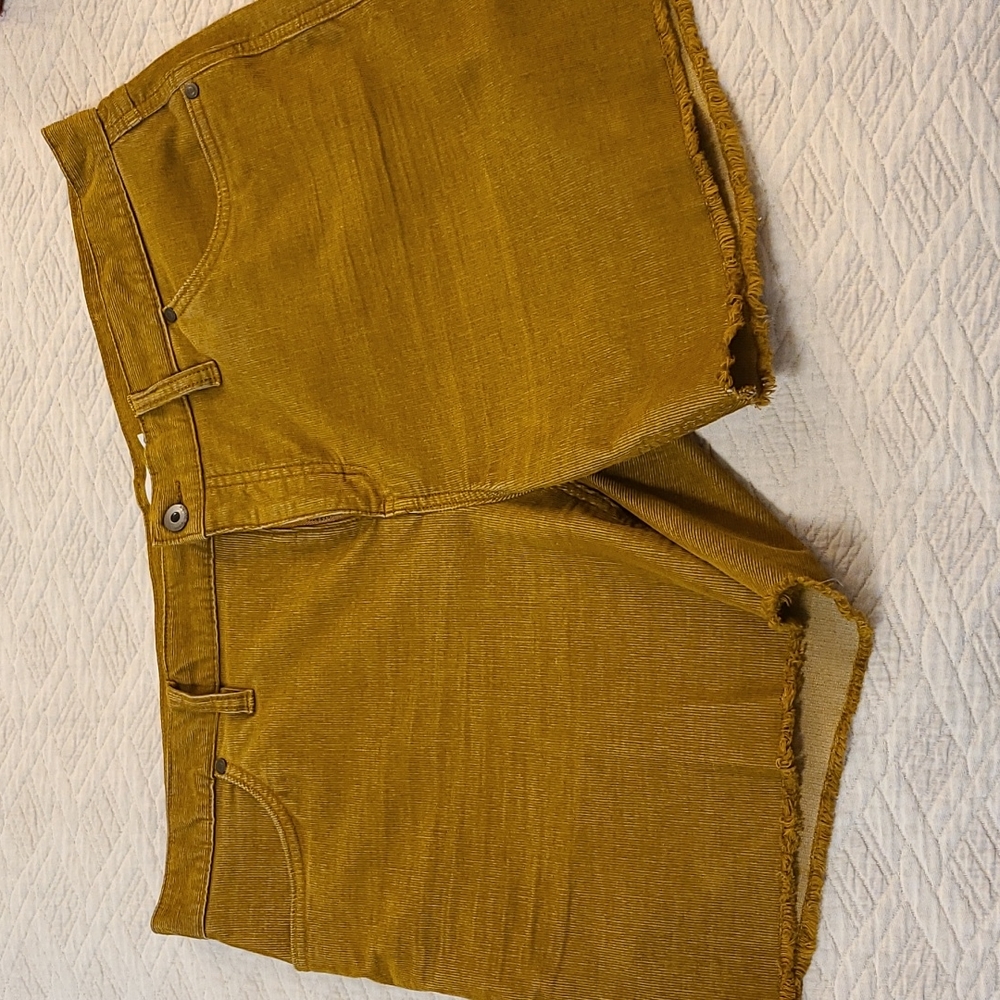 Carve Design Oahu Hi Rise 6" Short: Saddle size 14